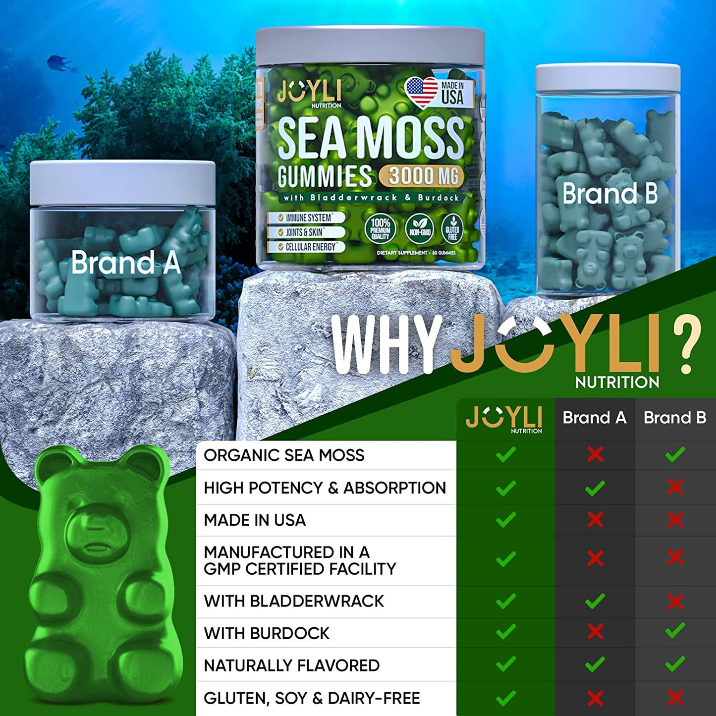 Organic Sea Moss Gummies for Adults & Kids - Pure Irish Sea Moss Supplement with Raw Seamoss Bladderwrack & Burdock Root for Immune System, Skin, Energy & Digestion* - 60 Vegan Seamoss Gummies