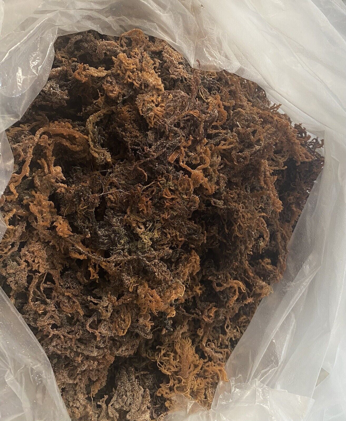 PURPLE SEA MOSS, 8Oz. ORGANIC STRAIGHT from the OCEAN.🔥BUY 2 GET 1 FREE