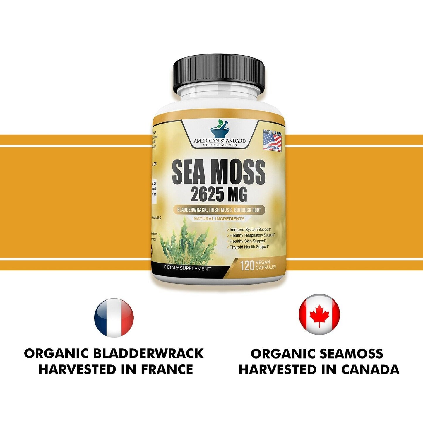 Organic Sea Moss 2625Mg, Irish Moss, Bladderwrack, Burdock Root, 120 Veg Capsule