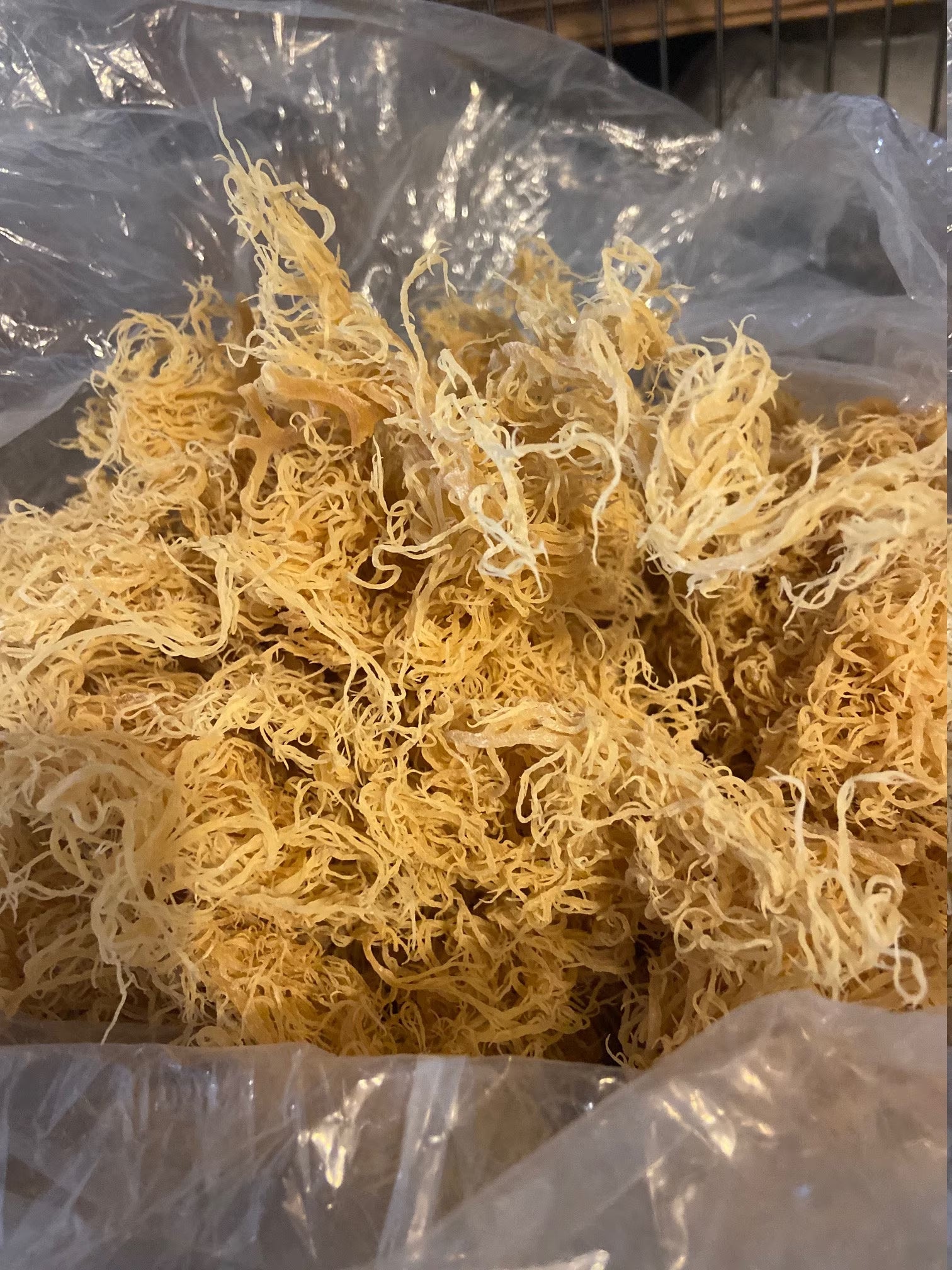 Derek Product - 1Lb - Gold Wildcrafted Sea Moss Organic