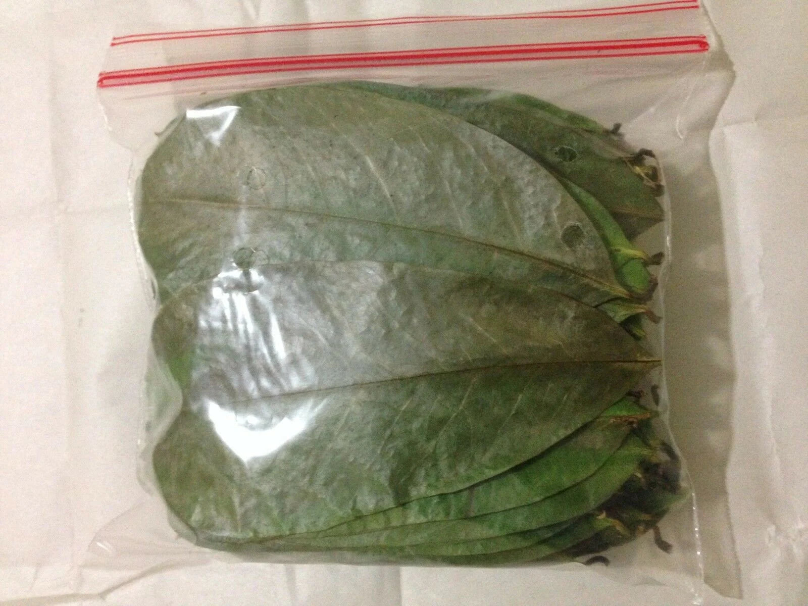 100% Organic Dried Soursop Leaves/Guanabana/Graviola/Annona Muricata/Guayabano