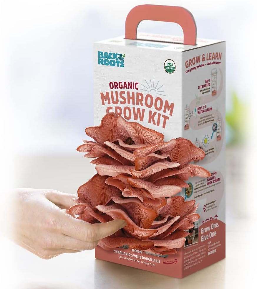 Organic Mushroom Grow Kit 3-Pack: Oyster, Oyster & Pink-Harvest Gourmet Mushroom in Just 10 Days