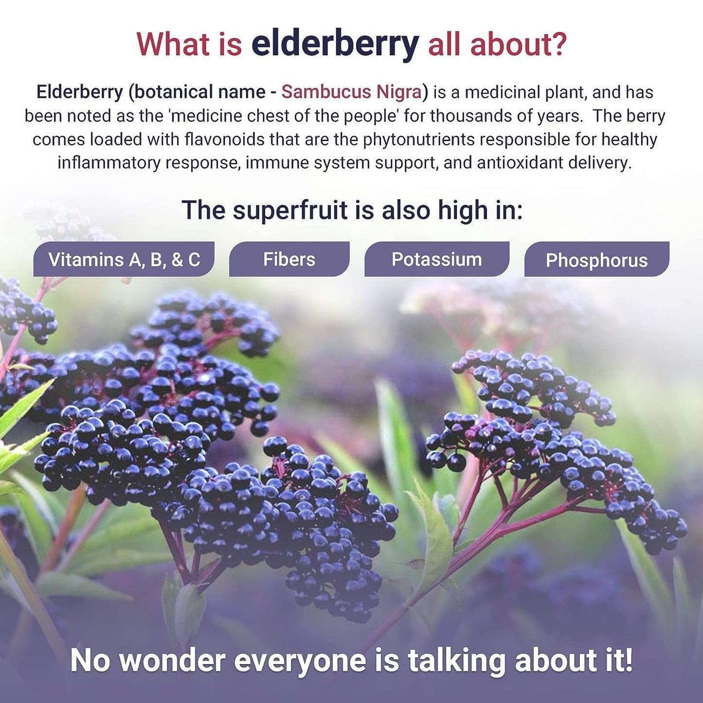 Certified USDA - 100% Organic Dried Elderberries - 1Lb Bulk - Non-Irradiated, Non-Gmo, Whole Black Elderberry Immune Support for Making Elder Syrup, Gummies, Tea - Raw Vegan Sambucus 1 Pound