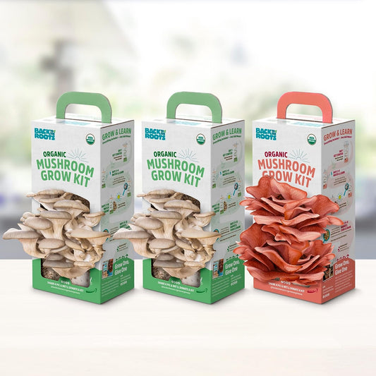 Organic Mushroom Grow Kit 3-Pack: Oyster, Oyster & Pink-Harvest Gourmet Mushroom in Just 10 Days