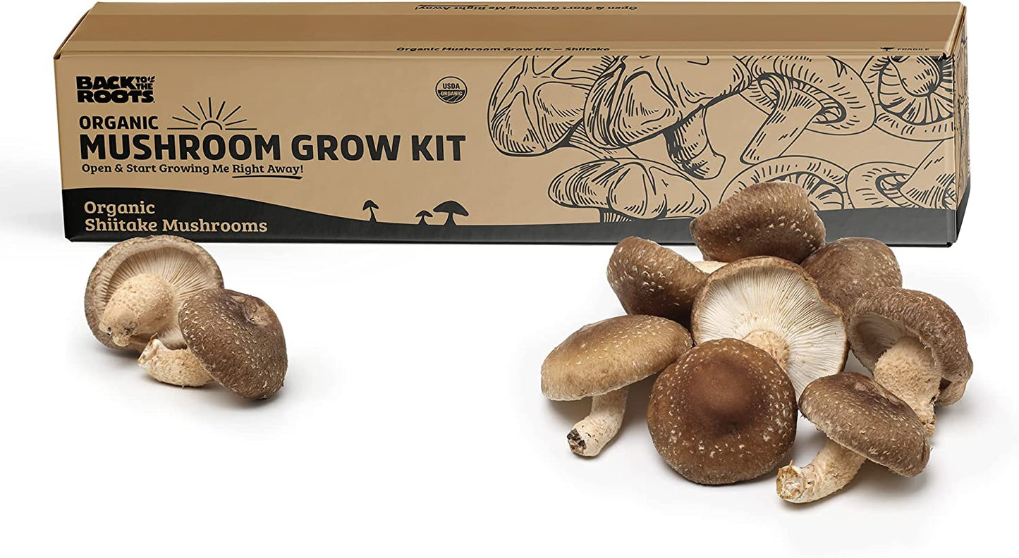 Organic Shiitake Mushroom Kit; Great Gift; Easy for Beginners, for Indoor Growing