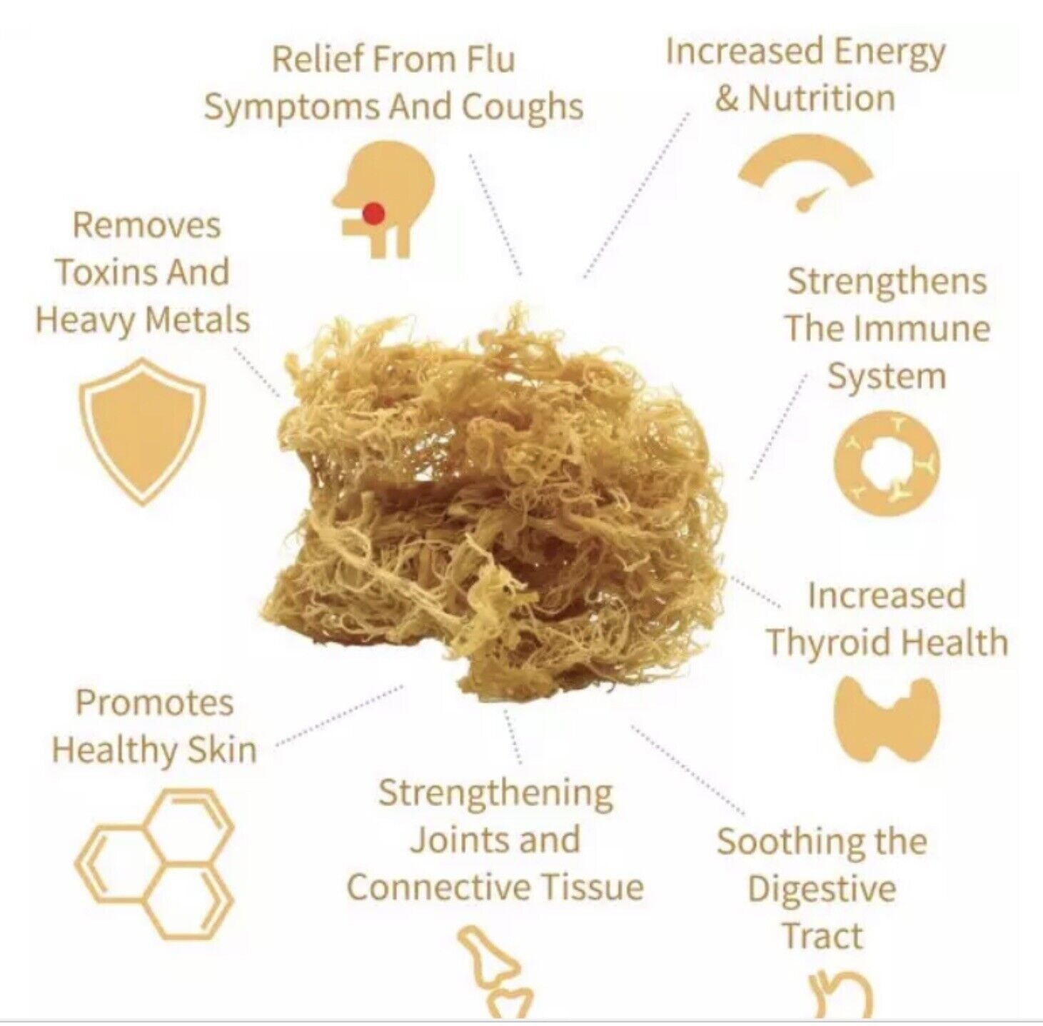 3 POUNDS RAW SEA MOSS ORGANIC/ VEGAN 🔥🔥🔥BUY 2 GET 1 POUND FREE😻😻🔥