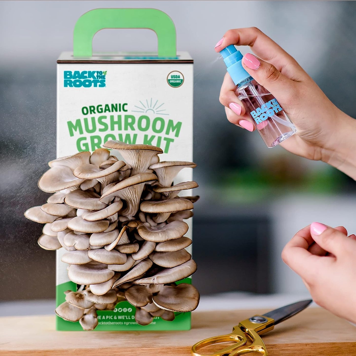 Organic Mushroom Grow Kit 3-Pack: Oyster, Oyster & Pink-Harvest Gourmet Mushroom in Just 10 Days