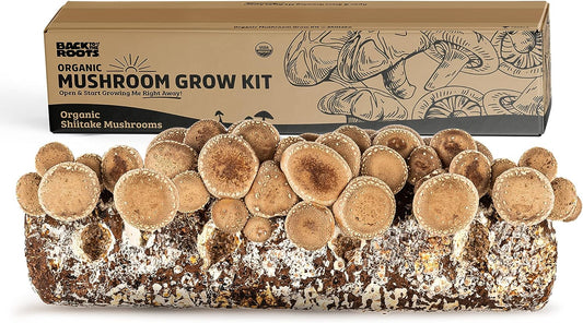 Organic Shiitake Mushroom Kit; Great Gift; Easy for Beginners, for Indoor Growing