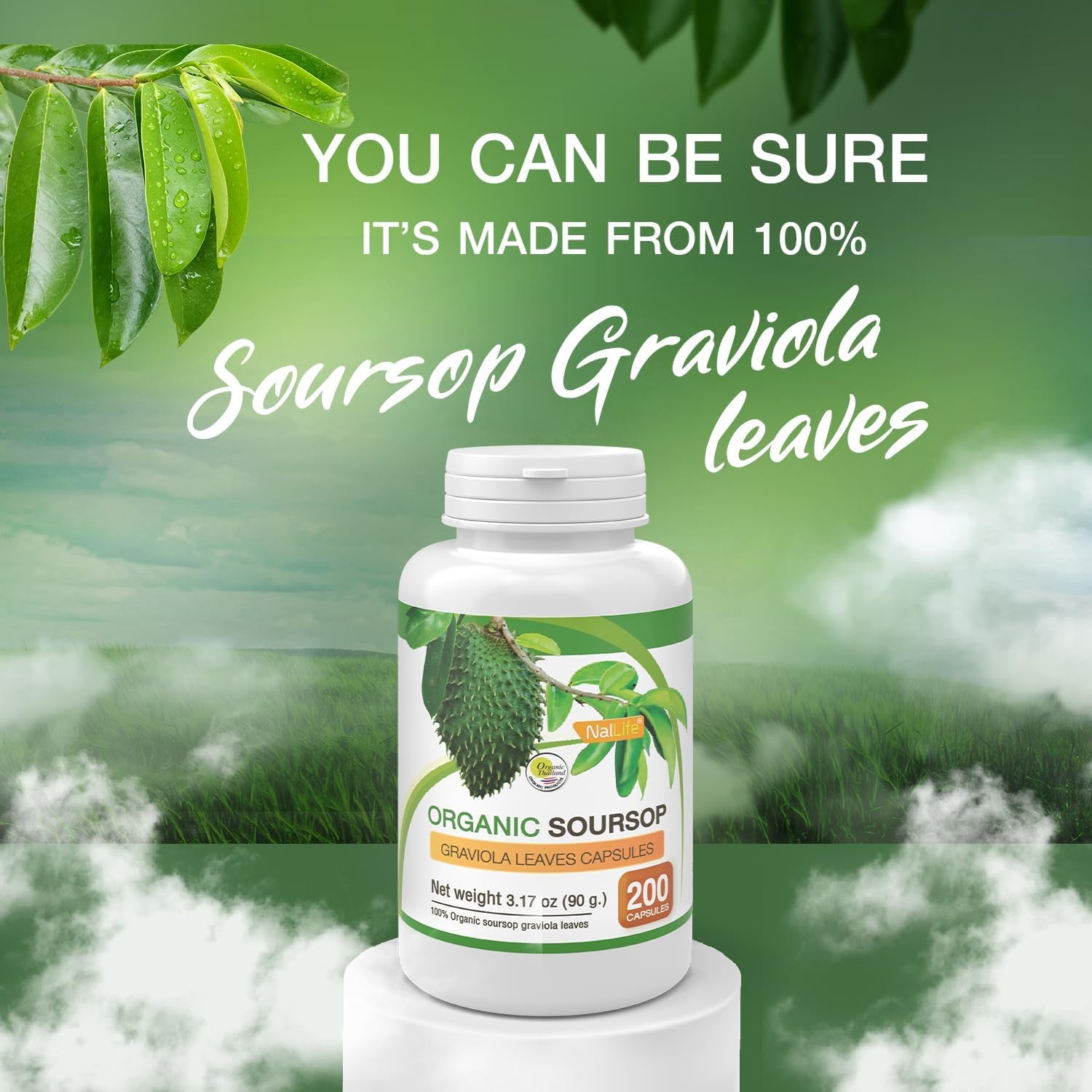 Organic Soursop Graviola Leaves 200 Capsules