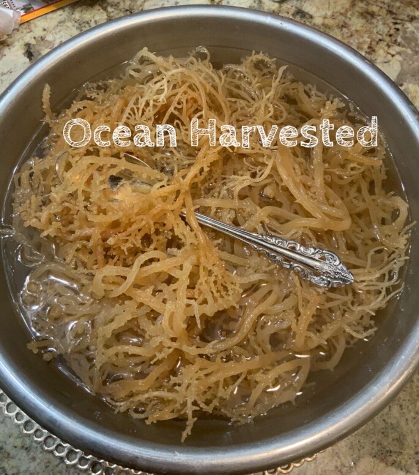 3 POUNDS RAW SEA MOSS ORGANIC/ VEGAN 🔥🔥🔥BUY 2 GET 1 POUND FREE😻😻🔥