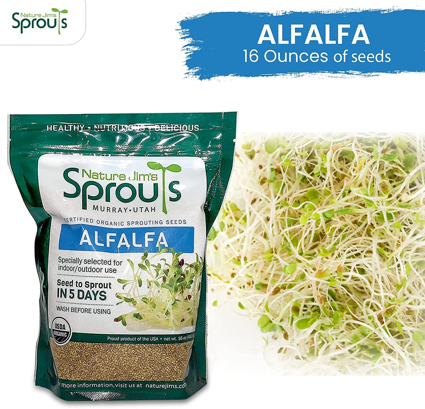 Alfalfa Seeds – 16 Oz Organic Sprouting Seeds – Non-Gmo Premium Alfalfa Seeds – Resealable Bag for Longer Freshness – Rich in Vitamins, Minerals, Fiber