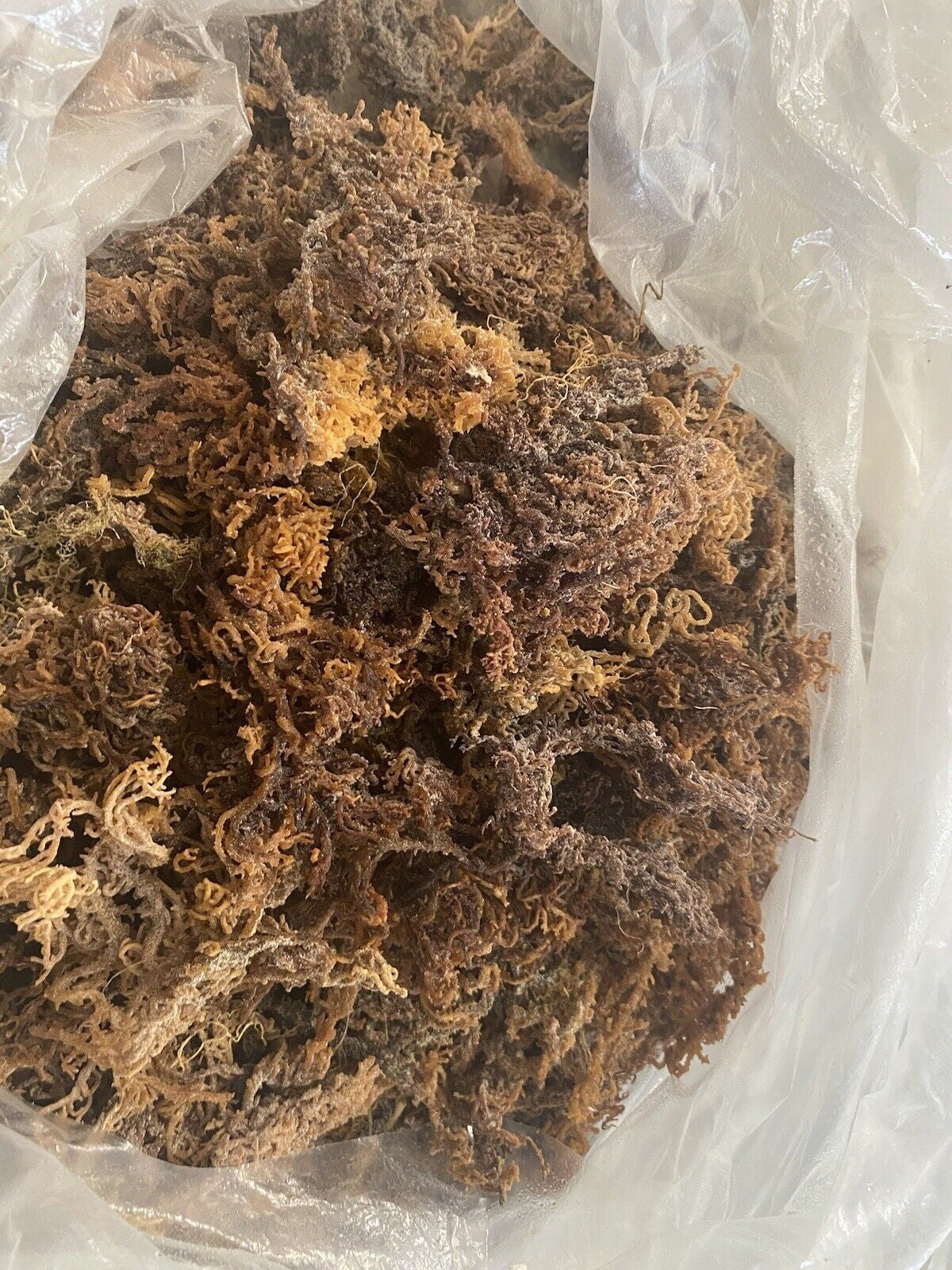 PURPLE SEA MOSS, 8Oz. ORGANIC STRAIGHT from the OCEAN.🔥BUY 2 GET 1 FREE