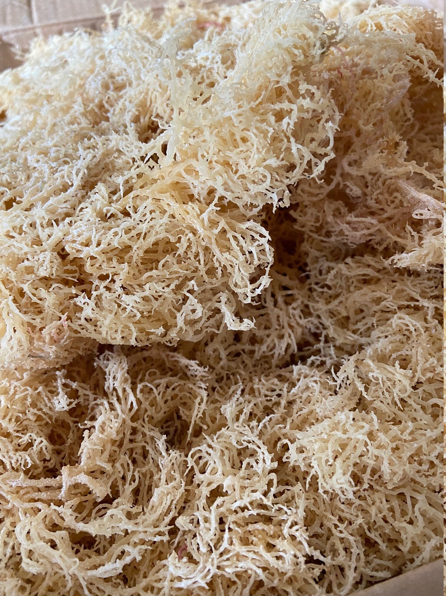 Derek Product - 1Lb - Gold Wildcrafted Sea Moss Organic