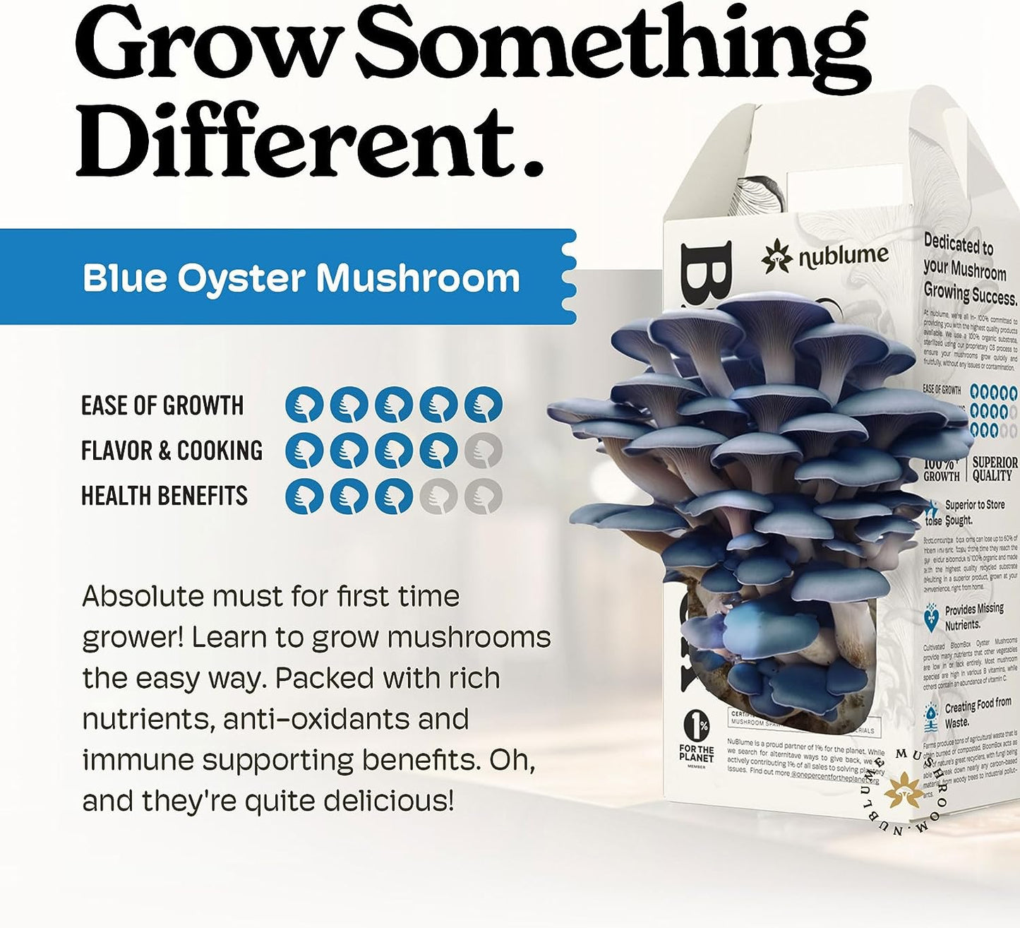 Organic Oyster Mushroom Grow Kit by Nublume | Harvest Fresh Gourmet Mushrooms at Home in 10 Days | Indoor Mushroom Growing Kits Great Gift for Kids & Adults | Gardeners & Vegans | Cooking & Plants