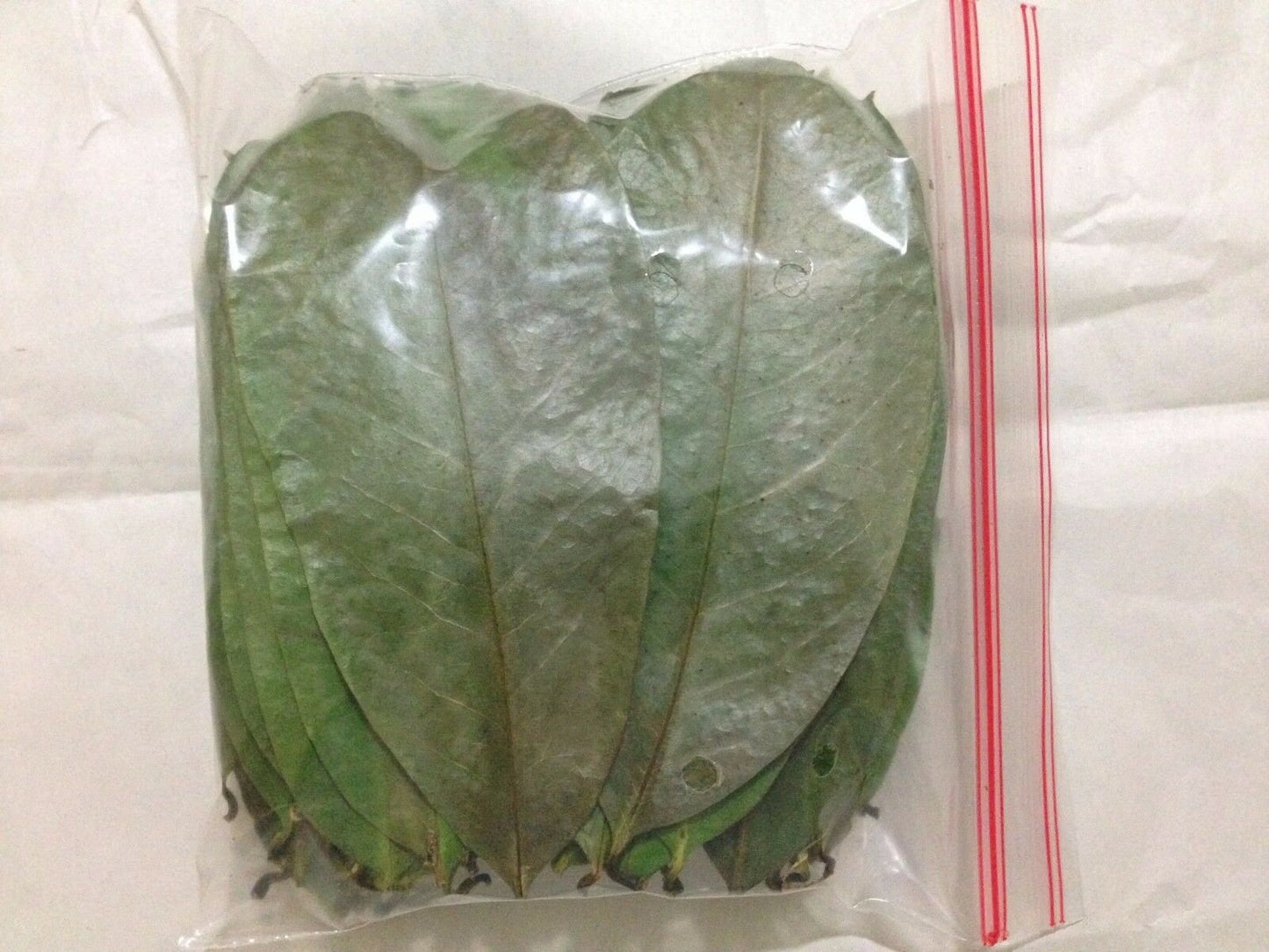 100% Organic Dried Soursop Leaves/Guanabana/Graviola/Annona Muricata/Guayabano