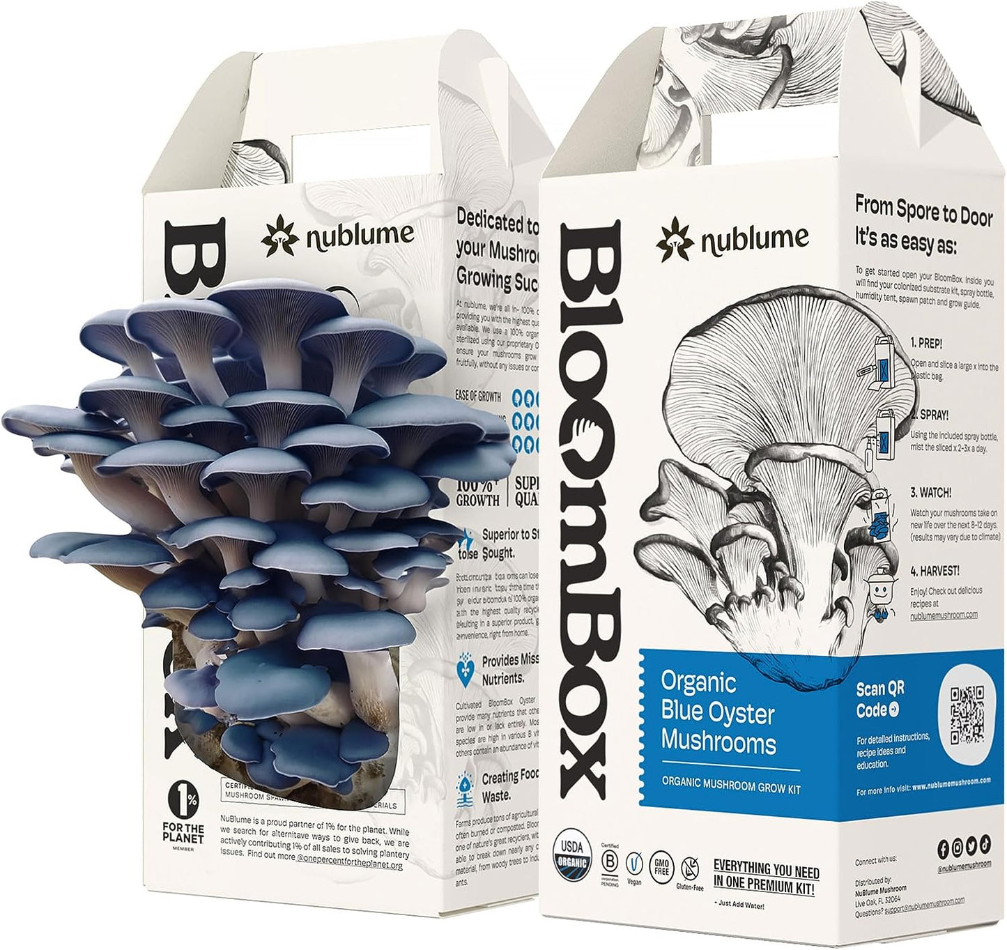 Organic Oyster Mushroom Grow Kit by Nublume | Harvest Fresh Gourmet Mushrooms at Home in 10 Days | Indoor Mushroom Growing Kits Great Gift for Kids & Adults | Gardeners & Vegans | Cooking & Plants