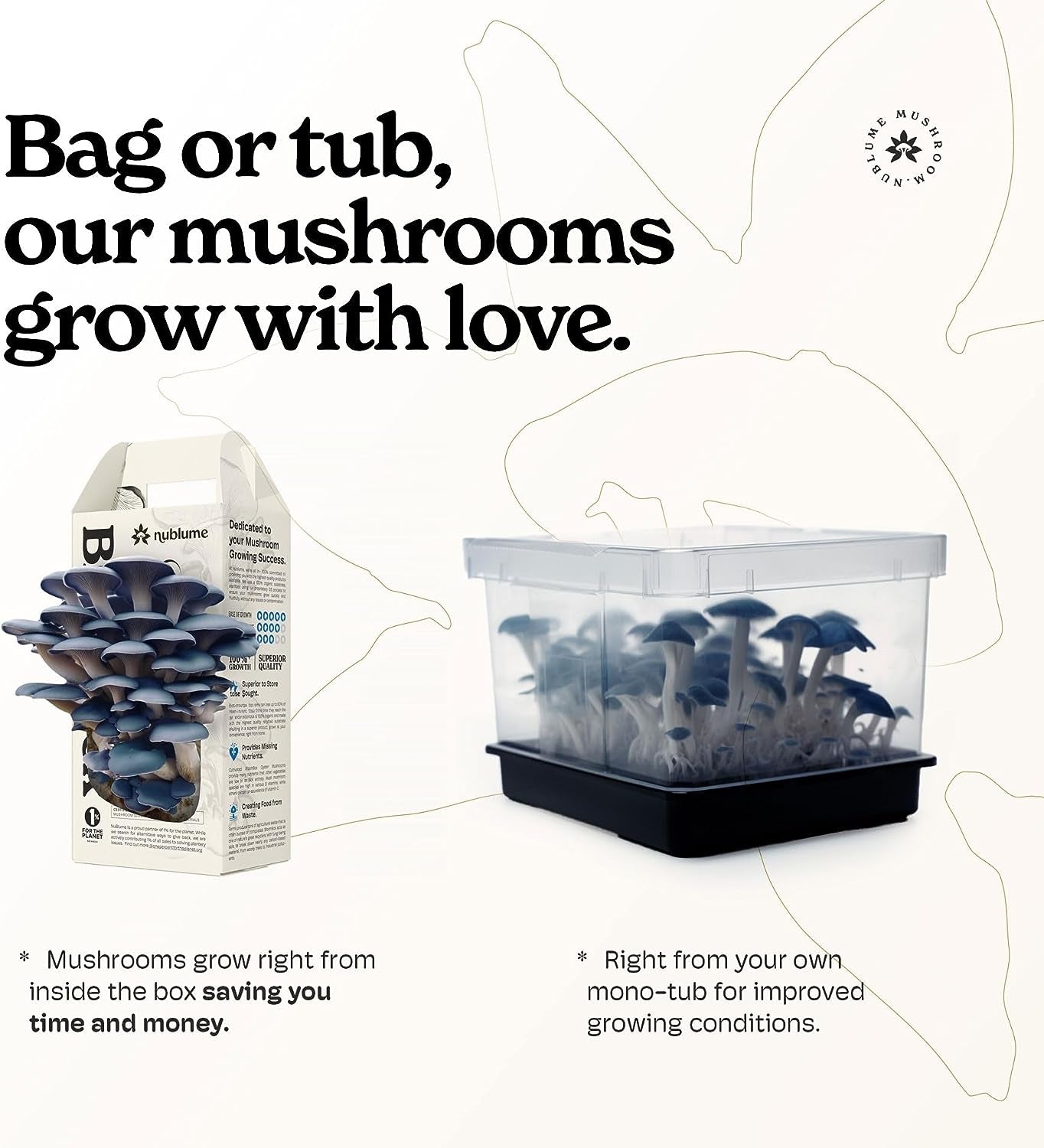 Organic Oyster Mushroom Grow Kit by Nublume | Harvest Fresh Gourmet Mushrooms at Home in 10 Days | Indoor Mushroom Growing Kits Great Gift for Kids & Adults | Gardeners & Vegans | Cooking & Plants