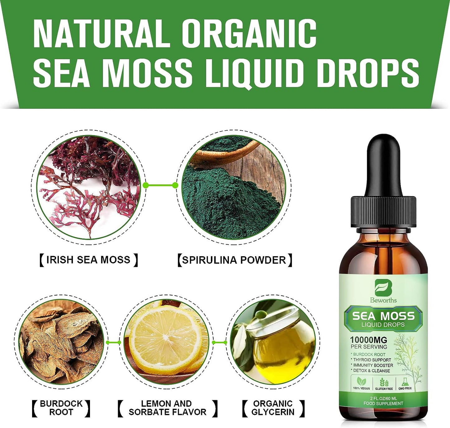 Sea Moss Liquid Drops - Organic Irish Sea Moss Gel with Burdock Root Supplement Immune Support, Joint & Thyroid Support, Detox Cleanse & Digestion Support - 2 Fl Oz, Vegan