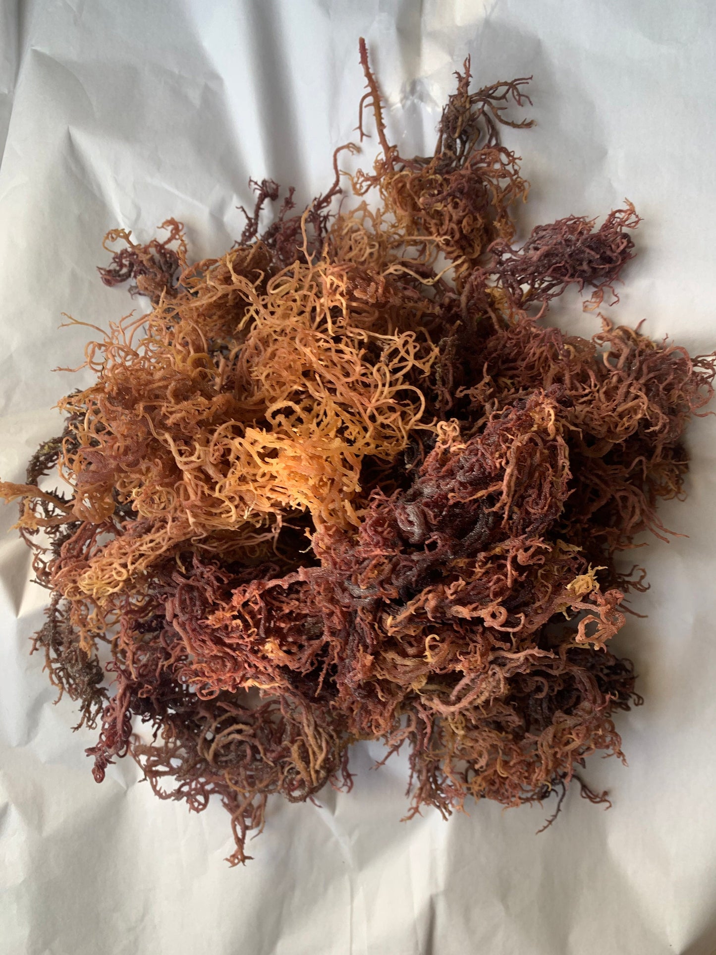 Raw Sea Moss-Full Spectrum- Organic, Wild Crafted, 1 Pound Bulk Bag