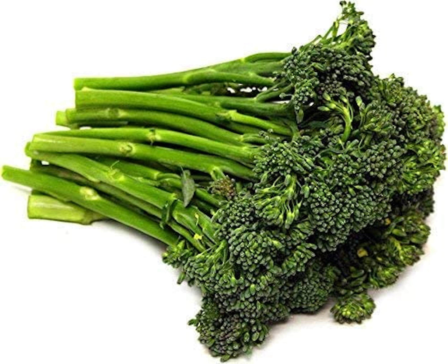 Organic Broccolini Seeds (100 Seed Pack)